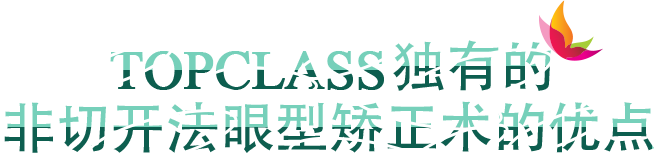 TOPCLASS 独有的 非切开法眼型矫正术的优点