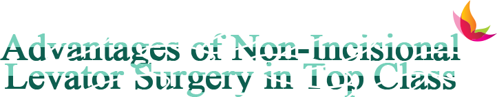 Advantages of Non-Incisional Levator Surgery in Top Class